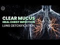 Lung Detoxification | Clear Mucus And Improve Oxygen Intake | Heal Chest Infection | 741hz Frequency