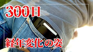 【すごいエイジング！】300日経ったコードバン財布の経年変化を見ていこう！