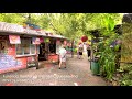 TC Postcard | Kuranda Rainforest Markets Queensland 1