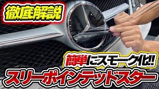 自分で貼れるスモークPPF。DIY【 E250】