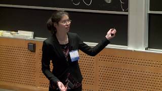 Cathy Wu (MIT/Microsoft Research): "Integrating Autonomy into Urban Systems"