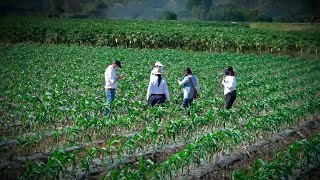 Entérese del Cambio: El Campo, el nuevo norte del SENA en sus 66 años - 25 de junio de 2023