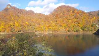 【北海道】道南は紅葉が見頃‼️函館のなかの湖 新中野ダム