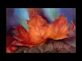 How to Paint Learn to Paint  Autumn Leaves Colors of Fall Part 1