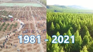 China has planted 78 billion trees in the past 40 years. | 40年來，中國種植了780億棵樹木。