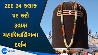 Maha shivratri 2021 | મહાશિવરાત્રીની ઉજવણી : રૂદ્રાક્ષના મહાશિવલિંગના કરો દર્શન