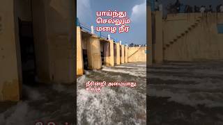 தேவையான தண்ணீர் , பாய்ந்து செல்லும் காட்சி#shortsfeed #shorts #shortsongs #water #y#views #yt #seen