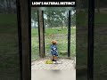 lion’s surprising reaction to a child. instinct or play