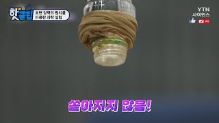 [핫클립] 표면 장력의 원리를 이용한 과학 실험 / YTN 사이언스