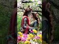 mai jis din bhula du radhakrishna♥️lovesong shorts