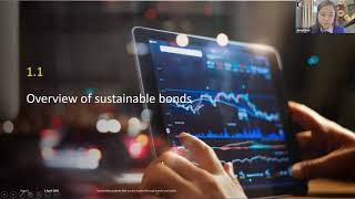 Sustainable Bonds for Investment Banks and Potential Issuers