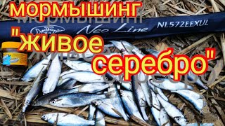 Мормышинг.Уклейка на спиннинг.Neoline 0.1-2.