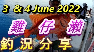 #6/3及6/4雞仔瀨大目鰱\u0026長尾鳥…釣況分享