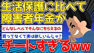 【2ch面白いスレ】障害者年金チートすぎるだろｗｗｗ「生活保護は叩かれるのに何で？」【ゆっくり解説】