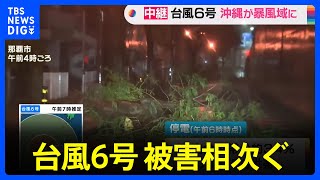 【中継】台風6号 沖縄が暴風域に　街路樹などの倒壊や建物の一部飛ばされる被害相次ぐ　猛烈な暴風に警戒｜TBS NEWS DIG