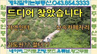 #충주부동산채널 586번 자연인터  혹시 절터필요합니까?  수안보면