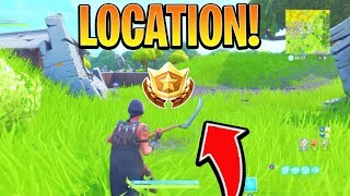 search between giant rock man crowned tomato encircled tree location fortnite season 7 - fortnite giant rock man crowned tomato and an encircled tree