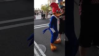 USJ ウッドペッカー グリーティング動画。時間オーバーなので・踊って・撮影して・走って撤収。