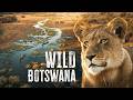 THIS Is the African Safari to Go On | Botswana’s Okavango Delta