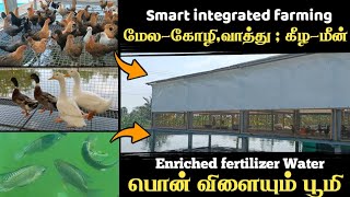 மேல வாத்து,கோழி-கீழ மீன்📍Smart integrated farming🤩பொன் விளையும் பூமி❤️✨