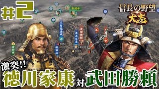 #2【信長の野望・大志PK】【徳川家康上級プレイ】「家康と信長の武田獲り！武田家臣・領土はどちらの手に！？」