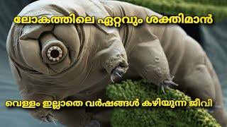 വെള്ളം ഇല്ലാതെ വർഷങ്ങളോളം ജീവിക്കാൻ കഴിയുന്ന ലോകത്തിലെ ഏറ്റവും ശക്തിയുള്ള ജീവി #newyoutubevideo