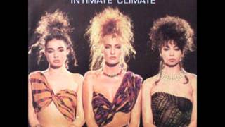 Centerfold Intimate Climate 1987