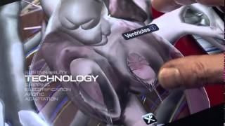 DNV GL - The Path