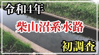 柴山系水路調査は無事に成功したが…。【バス釣り】