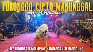 TAMPIL BEDA!! TURONGGO CIPTO MANUNGGAL TCM LIVE BENDOSARI NGEMPLAK KANDANGAN