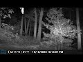 Ashland Trail Cam: 10/18/23 Deer