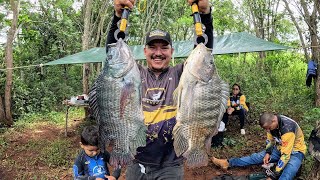 Acampamento na mata selvagem: Pescaria de tilápia e o melhor peixe frito no fogão a lenha!