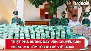 Triệt phá đường dây vận chuyển gần 200kg ma túy từ Lào về Việt Nam | Báo Lao Động