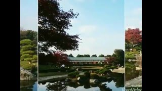 日本庭園　花田苑　園内風景～