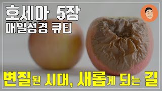 [매일성경큐티] 11월 24일 (주) 호세아 5장 