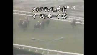 第３４回　毎日王冠　タカラテンリュウ　牡４　57　嶋田功　1983.10.9　　出走馬：イーストボーイ、キョウエイプロミス、リーゼングロス、スピーデイタイガー、モンテファスト、キヨヒダカ他