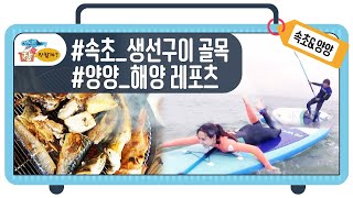 양양에서 제대로 물 만났다~! 해양 레포츠 즐기기 [여행, 장만할까 시즌1 #18]