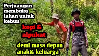 cara membuka lahan baru untuk perkebunan