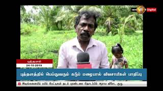 News 1st:  புத்தளத்தில் கடும் மழை; விவசாயம் பாதிக்கப்பட்டுள்ளதாக விவசாயிகள் கவலை