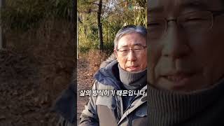 [맨발로걸어라] 맨발걷기를 겨울에도 멈추면 안되는 이유