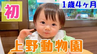 【1歳4ヶ月】初めて上野動物園に行ってきました♪