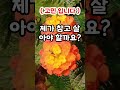 45세 남편이 직장에서 잘리자 시어머니가 하는말이 사연