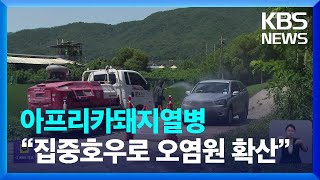 강원 철원서 아프리카돼지열병…“집중호우로 오염원 확산” / KBS  2023.07.19.