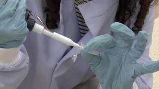 Pipetting small volumes Demo