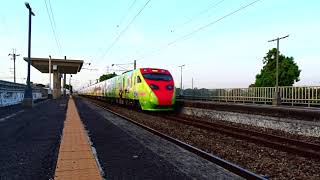 喔熊 彩繪普悠瑪 永靖通過  Train Passing Yongjing Station