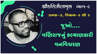 Harililamrut Katha - 09 | હરિલીલામૃત કથા - ૦૯ | 12 Nov 1991 | Gyanjivandasjiswami - Kundaldham