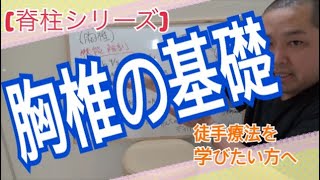 胸椎への治療　リハビリ　胸椎に対しての疼痛治療・徒手療法を行う上での基礎