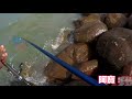 釣魚 fishing 實況 釣烏魚兼撿黑格 鹿港大水門旁拉爽爽 海釣幹話篇2 lukang watergate fishing