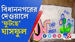 প্রার্থীতালিকা প্রকাশের আগেই দেওয়াল লিখনে তৃণমূল | Bidhannagar Municipal Election 2021 | AITC