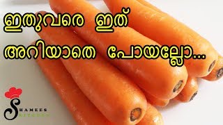 ഇത്രയും നല്ലൊരു EVENING SNACKS ട്രൈ ചെയ്യാതെ പോകരുതേ || Carrot Snacks || Tasty Snacks Recipe